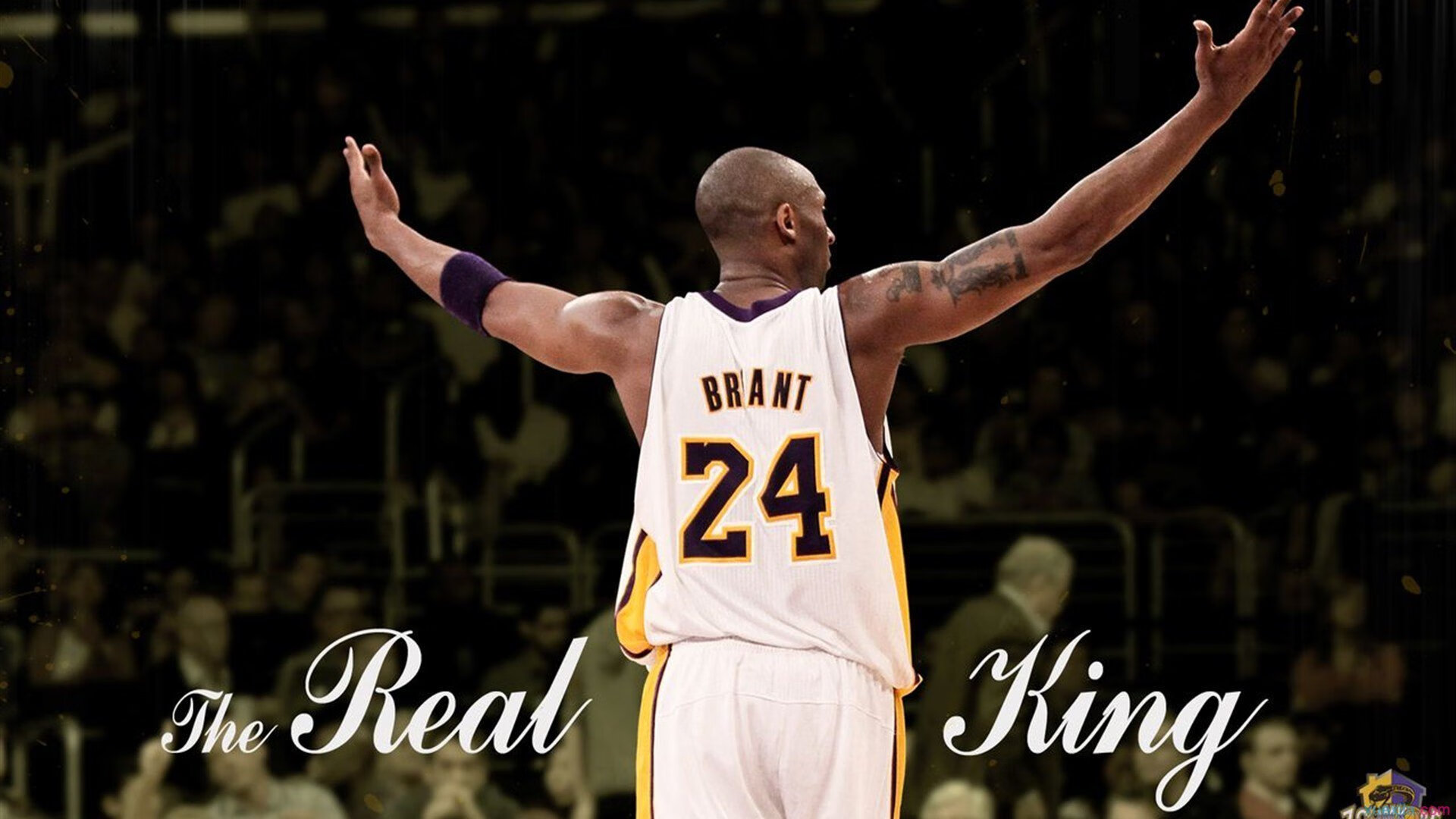 西决生死战焦点战启示录,从苏格兰轻取挪威看竞技体育的不可预测性